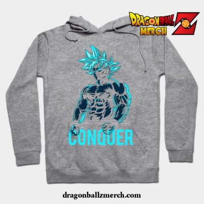 Dragon_Ballz Hoodie Gray / S